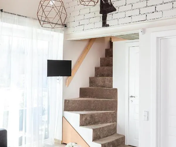 Puki Puki Pajurys Palanga