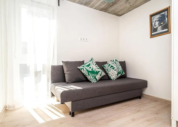 Puki Puki Pajurys * Palanga